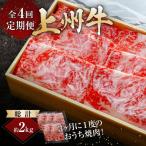 牛肉 上州牛 4回定期便 月替わり食べ比べセット