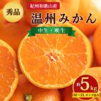 紀州和歌山産 温州みかん 約5kg