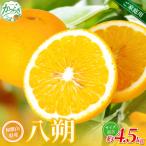森本農園の手選別 清見オレンジ 約4.5kg