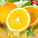 森本農園の手選別 八朔 約8kg
