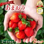 いちご 特別栽培 あまおう L~2Lサイズ