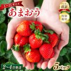 いちご 特別栽培 あまおう L~2Lサイズ