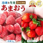 特別栽培 あまおう 冷凍あまおう1kg