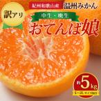 紀州和歌山産 温州みかん おてんば娘 約5kg
