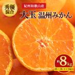 紀州和歌山産 大玉 温州みかん 約8kg