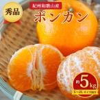 紀州和歌山産 ポンカン 約5kg