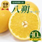 紀州和歌山産 八朔 はっさく 約10kg