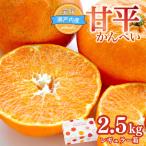 甘平 レギュラー箱 2.5kg