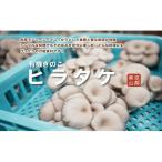 ヒラタケ きのこ 有機JAS 840g