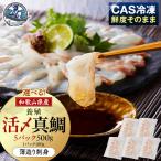 活〆 真鯛 薄造り 刺身 100g