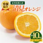 紀州和歌山産 清見オレンジ 約10kg