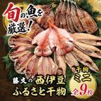 藤文の西伊豆ふるさと干物ミニ