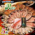 藤文の訳あり干物ミニ5枚以上