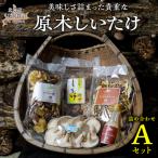 fu.... налог прекрасный тест ...... ценный .. дерево .... набор A комплект MKWN001 Hokkaido ... блок 