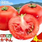 大玉トマト かれん 訳あり 約4kg
