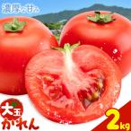 大玉トマト かれん 約2kg