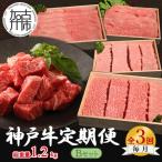 神戸牛定期便 B