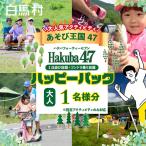 Hakuba47 ハッピーパック ゴンドラ往復+アクティビティ