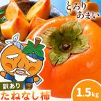 訳あり たねなし柿 1.5kg