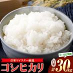 米 コシヒカリ 白米 10kg