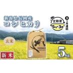 N5-8G053 長岡産コシヒカリ玄米5kg