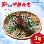冷凍 訳あり 伊勢海老 3尾