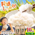 小浜のハナエチゼン 米 10kg