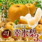幸水3kg