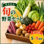 野菜セット 旬野菜 5~9品目