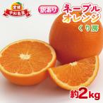 訳あり ネーブル オレンジ 約 2kg