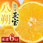 クセになる旨み 6kg