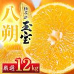 クセになる旨み 12kg
