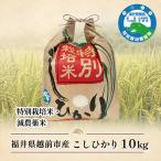 コシヒカリ 特別栽培米 10kg