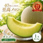オトメ 1玉