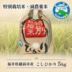 新米 令和8年度産 産コシヒカリ&にこまる