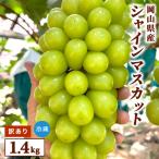 シャインマスカット 1.4kg