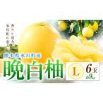 柑橘 晩白柚 L 6玉