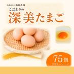 かわなべ鶏卵農場のこだわりのたまご 75個