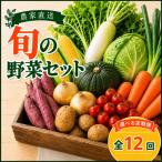 定期便 旬野菜セット 全12回 毎月