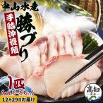 勝ブリ 1匹