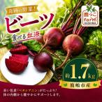 ズッキーニ 約1.7kg
