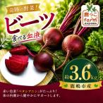 ズッキーニ 約3.6kg