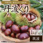 京都丹波 丹波くり 1kg
