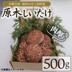 京都丹波 原木しいたけ 500g