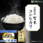 定期便6回 令和7年産 コシヒカ 聖米 白米 10kg×6回