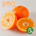 約5kg