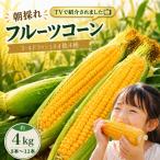 南国フルーツコーン 艶きび 10本