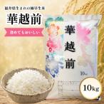 華越前 ハナエチゼン 10kg