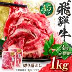 飛騨牛 A5等級 切り落とし 1kg