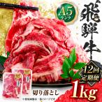 飛騨牛 A5等級 切り落とし 1kg